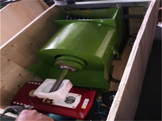 presse à huile machine à huile de palme extraction d'huile c en belgique