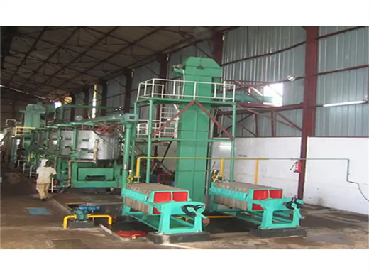 Moulin à huile de palme à faible coût de 300 tpj avec usine au Congo