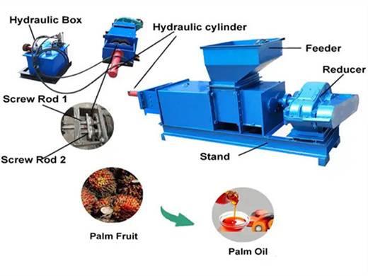 grande machine de fabrication d'huile de palme en Guinée