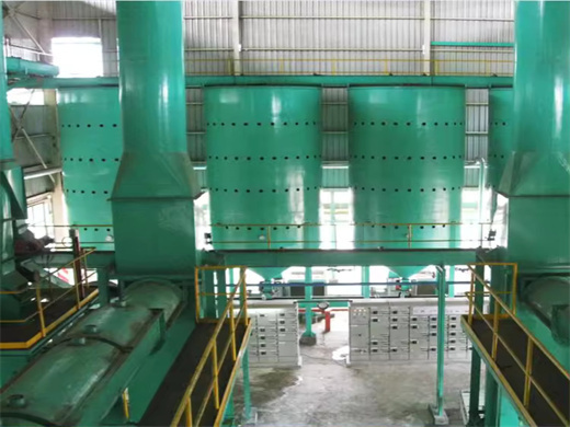 usine d'huile de palme et machine 3000tpj au burundi